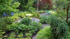 create a beautiful hillside garden