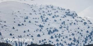 Στα Λευκά Όρη το ύψος χιονιού ξεπερνά σε ορισμένες περιοχές τα δύο μέτρα |  Cretapost.gr