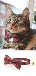 Buying your pet a holiday cat collar is a fun way to celebrate almost any holiday. Bow Tie Cat Collar Set Hearthside Red Tartan Plaid Collar Matching Detachable Bow Tie Cataesthetic Christmas Cat Collar Cat Collars Fancy Cat Collar