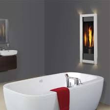 Napoleon Fireplaces Climate Control Gt8sb