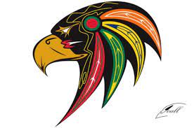 Blackhawks logo 'offensive ...