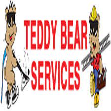 teddy bear services updated march