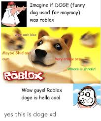 Looking for an easy way to get the best hat codes & id's for roblox? Roblox Doge Head Id Roblox How 2 Get Robux