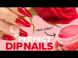 anc nail dip natural set with tips