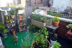 How To Create Your Perfect Balcony Garden