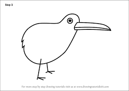 learn how to draw a kiwi bird for kids