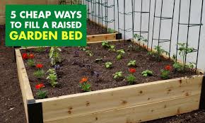 Ways To Fill A Raised Garden Bed