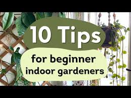 10 Tips For Beginner Indoor Gardeners