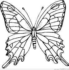 40 Tranh Tô Màu Con Vật Dễ Thương Cho Bé | Butterfly coloring page, Flower  coloring pages, Butterfly printable