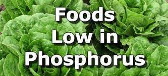 foods low in phosphorus for people with