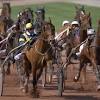 analyse forme cheval
