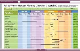 What Are The Easiest And Most Prolific Vegetables To Plant