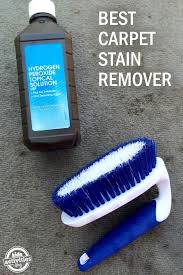 homemade carpet stain remover frugally