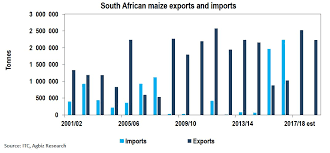 Daily Chart South Africa To Remain A Net Exporter Of Maize