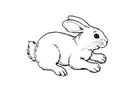 Tuyển chọn mẫu tranh tô màu con thỏ 🐰 siêu dễ thương cho bé