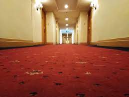 the target market for carpet cleaning