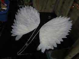 angel wings project a wing home