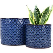 Blue Planter Set Ceramic Plant Pots