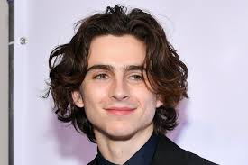 The options are so varied, says oakley. How To Get Timothee Chalamet S Hair