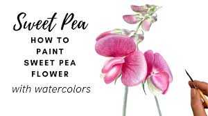 how to paint a sweet pea flower