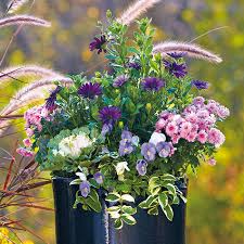 Cool Colored Fall Container Ideas