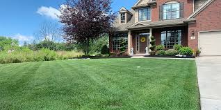 Learn more about our services designed to keep your commercial turf attractive and healthy on our turf enhancements page. How Much For Commercial Lawn Care
