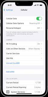 cellular data on your iphone or ipad