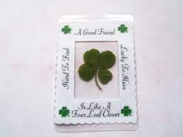 real four leaf clover goodluck gift