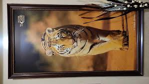 photos of tiger inn mohrali hotel in