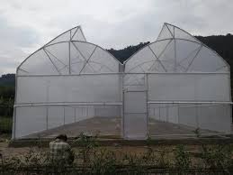 uv ilized plastic greenhouse 7 x