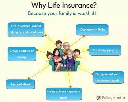 About WFL Insurance | Sarasota Insurance Services gambar png