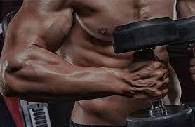 maintain gains after a sarms cycle