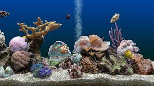 marine aquarium 3d screensaver for