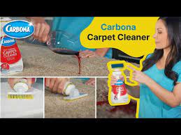 carbona carpet cleaner you