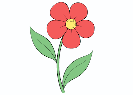 how to draw a flower step by step