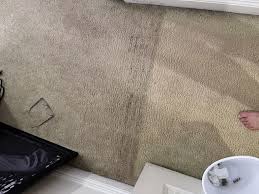 carpet stain q a 2 diagnose indoor