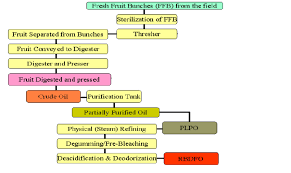 Production Flow Chart Of Refined Bleached And Deodorized