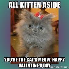 Top 20 kitten and cat hugs. All Kitten Aside You Re The Cat S Meow Happy Valentine S Day Cute Cat Meme Generator