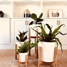 Annnnndddd because we love you we. Diy Mid Century Modern Plant Stands Ryobi Nation Projects
