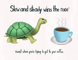 Slow and steady wins the race meme