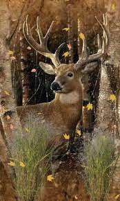 free deer hunting wallpaper