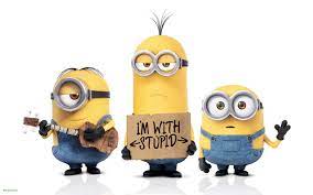 funny minions wallpapers wallpaper cave