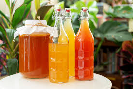 kombucha tea health benefits nutrition