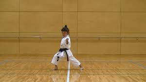 Αποτέλεσμα εικόνας για karate girl mahiro