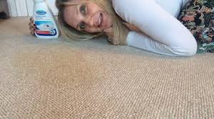 remove cat vomit stains from a carpet