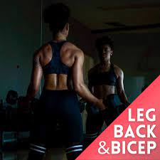 6 basic leg back and bicep workouts