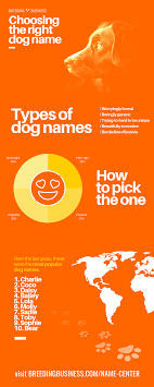 1000 s of dog names for new puppy