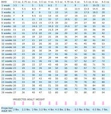 68 Actual Malamute Weight Chart
