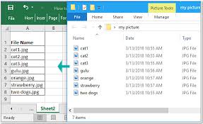 file names of a folder to excel cells