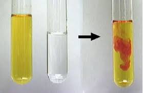 chemical reactions signs of a reaction